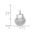 14k White Gold Open Back Seashell Pendant Hot on Sale