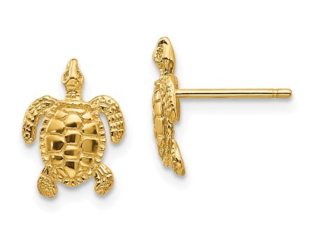 10mm Sea Turtle Post Earrings in 14k Yellow Gold For Sale