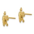 10mm Sea Turtle Post Earrings in 14k Yellow Gold For Sale