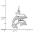 14k White Gold Mother and Baby Dolphin Charm Discount